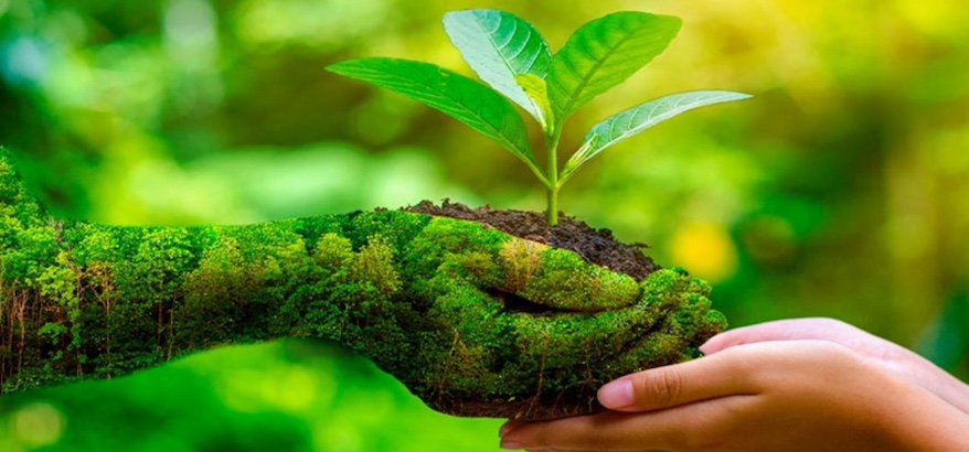 Peran Penting Situs dlhindonesia.id dan Visi Misi Dinas Lingkungan Hidup Indonesia bagi Pembangunan Indonesia