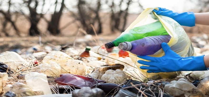 Manfaat Platform Digital dlhdkijakarta.id untuk Lingkungan Bersih dan Sehat di Jakarta