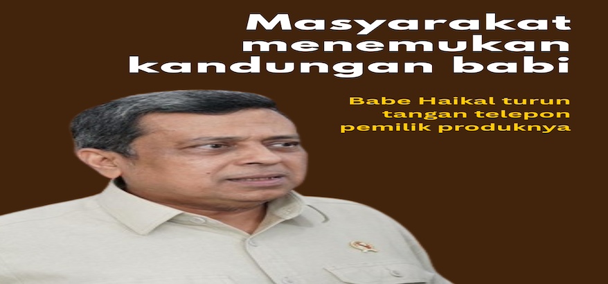 Haikal Hassan Tegaskan Komitmen BPJPH: Lindungi Muslim dari Marshmallow Mengandung Porcine