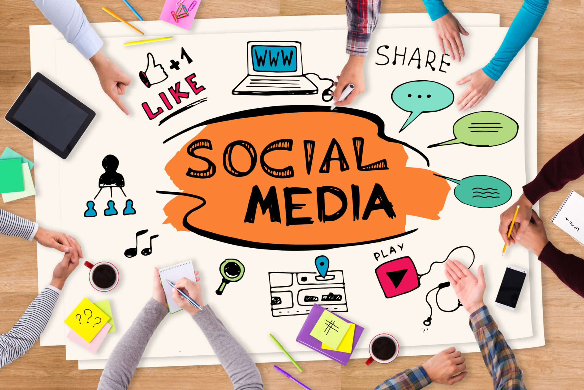 View Organik dari Jasa Profesional untuk Branding yang Tahan Lama