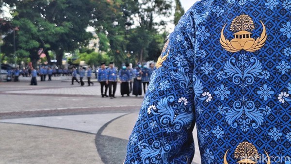 Update Terbaru CASN: Pemerintah Buka Opsi Pendaftaran Seleksi CPNS 2025