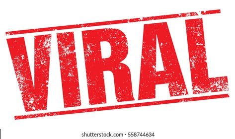 Cara Memanfaatkan Fitur Live Streaming untuk Meledakkan Penjualan Produk Lokal