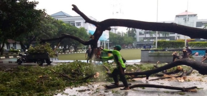 Fungsi Utama Dinas Lingkungan Hidup Kabupaten Karawang dalam Mewujudkan Lingkungan Bersih