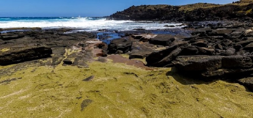 3+ Pantai Berpasir Hijau di Berbagai Dunia